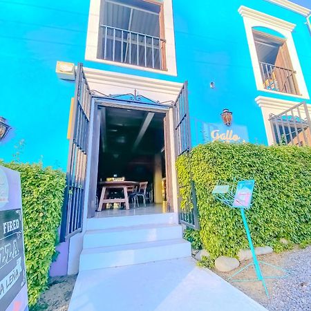Gallo Azul Hotel, En El Corazon De Todos Santos Zewnętrze zdjęcie