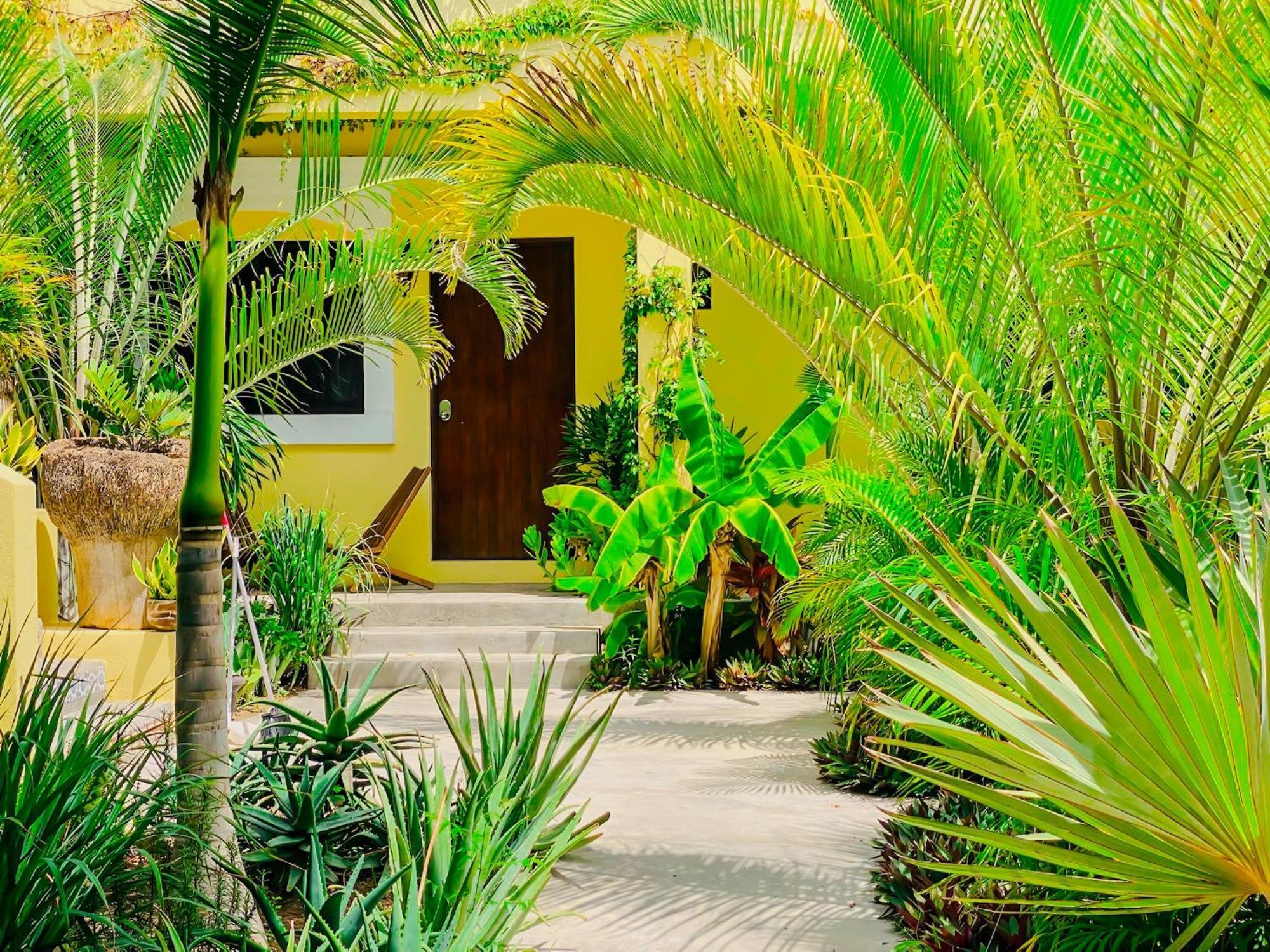 Gallo Azul Hotel, En El Corazon De Todos Santos Zewnętrze zdjęcie