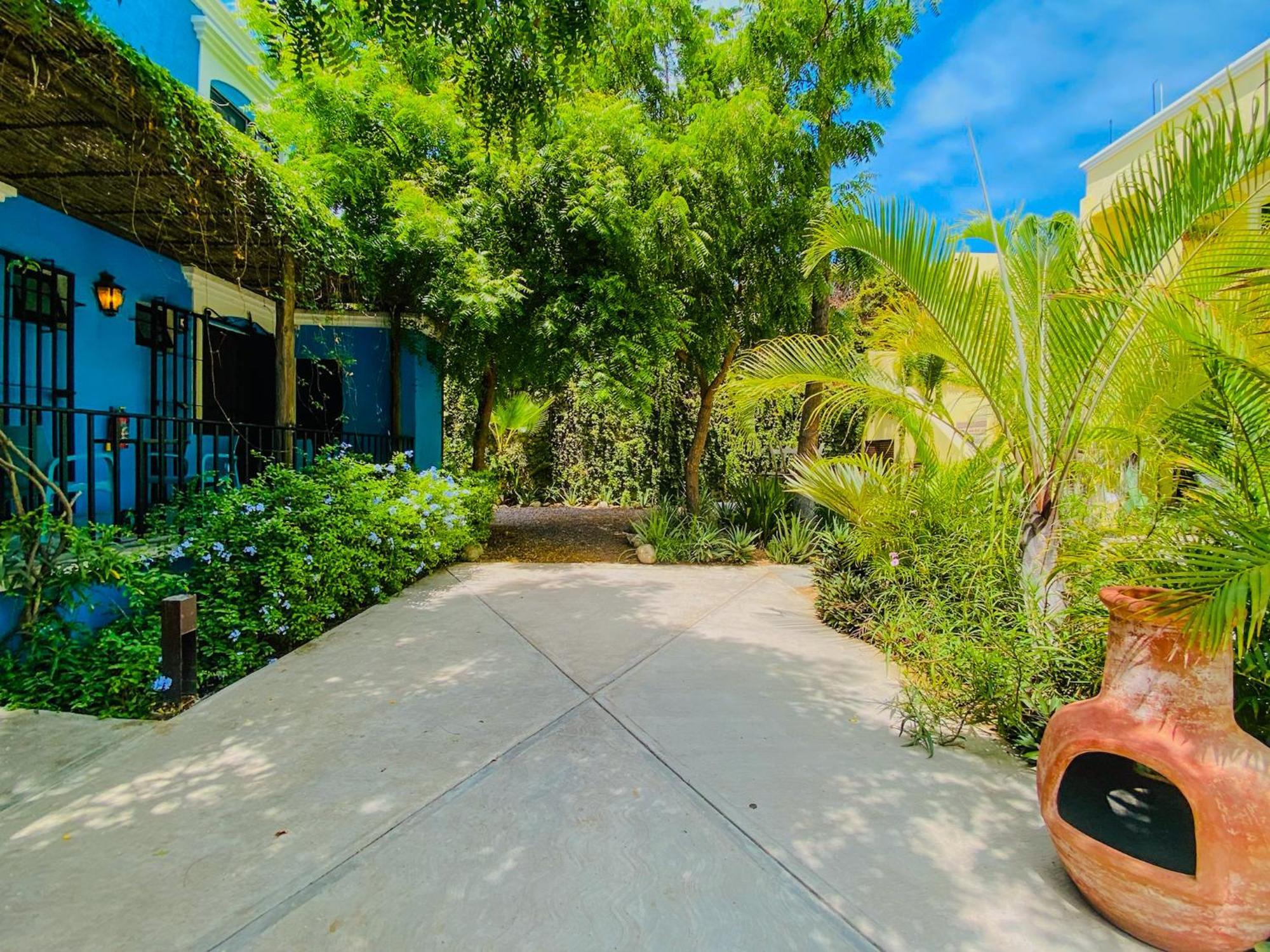 Gallo Azul Hotel, En El Corazon De Todos Santos Zewnętrze zdjęcie