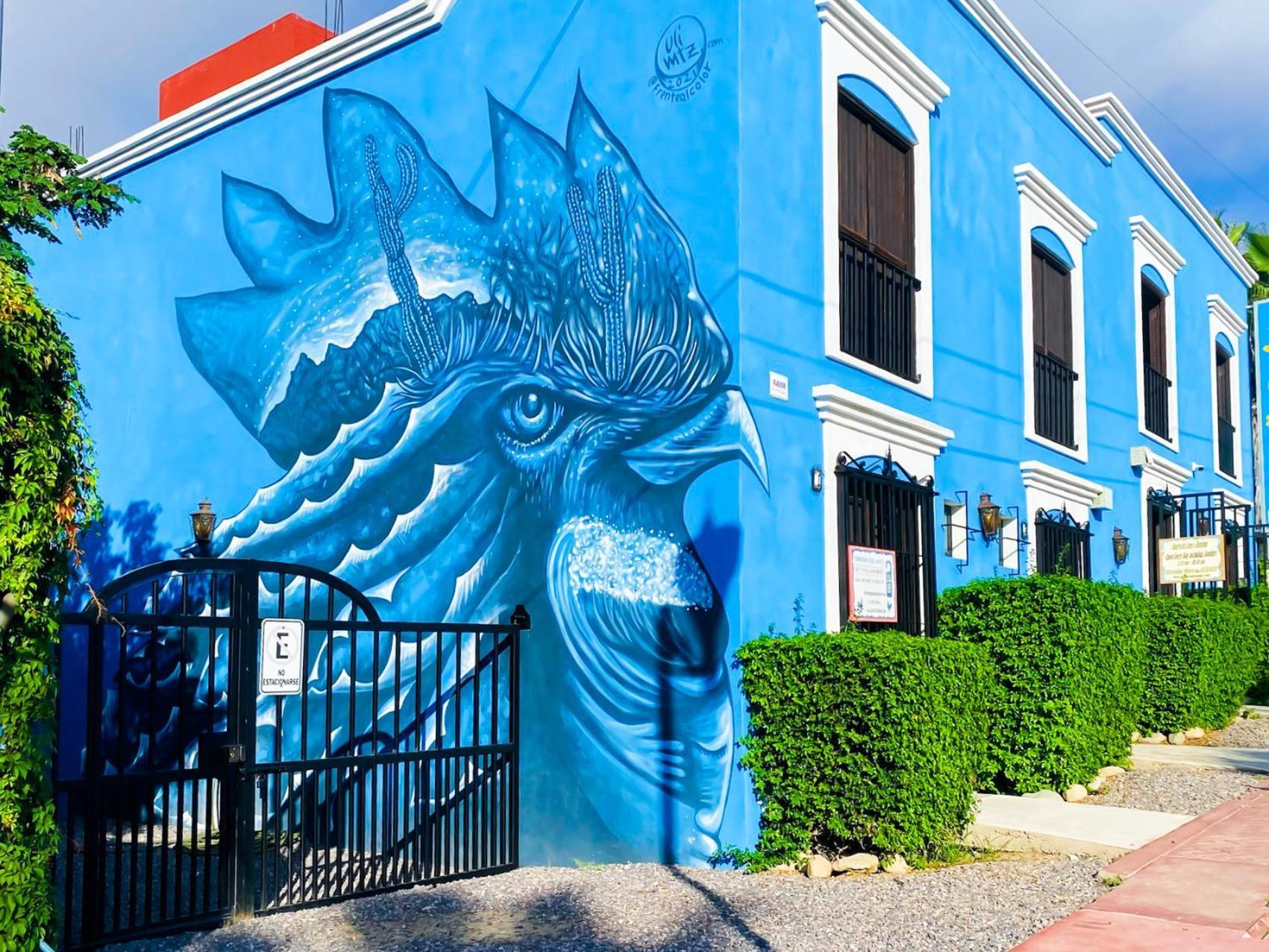 Gallo Azul Hotel, En El Corazon De Todos Santos Zewnętrze zdjęcie