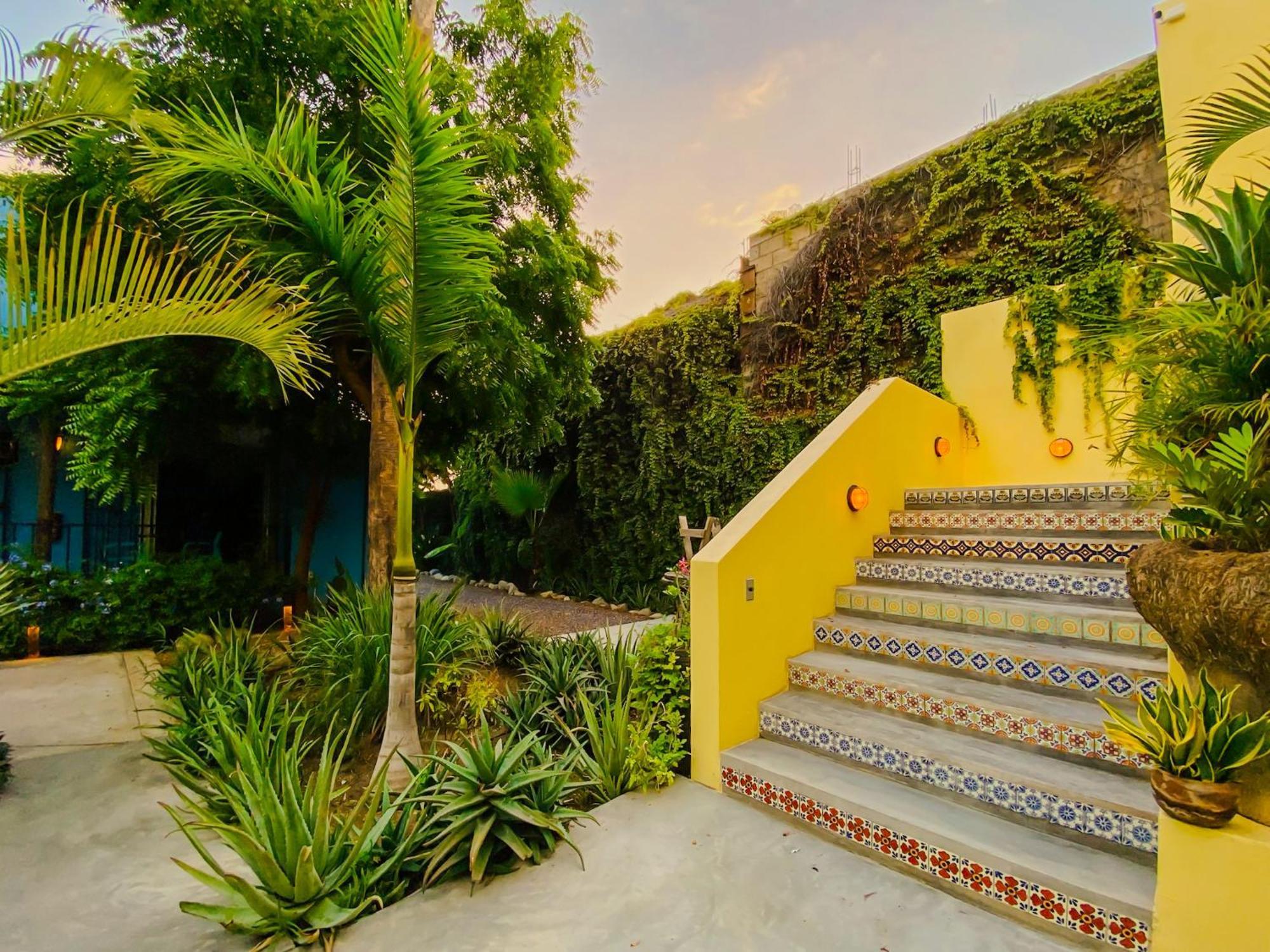 Gallo Azul Hotel, En El Corazon De Todos Santos Zewnętrze zdjęcie