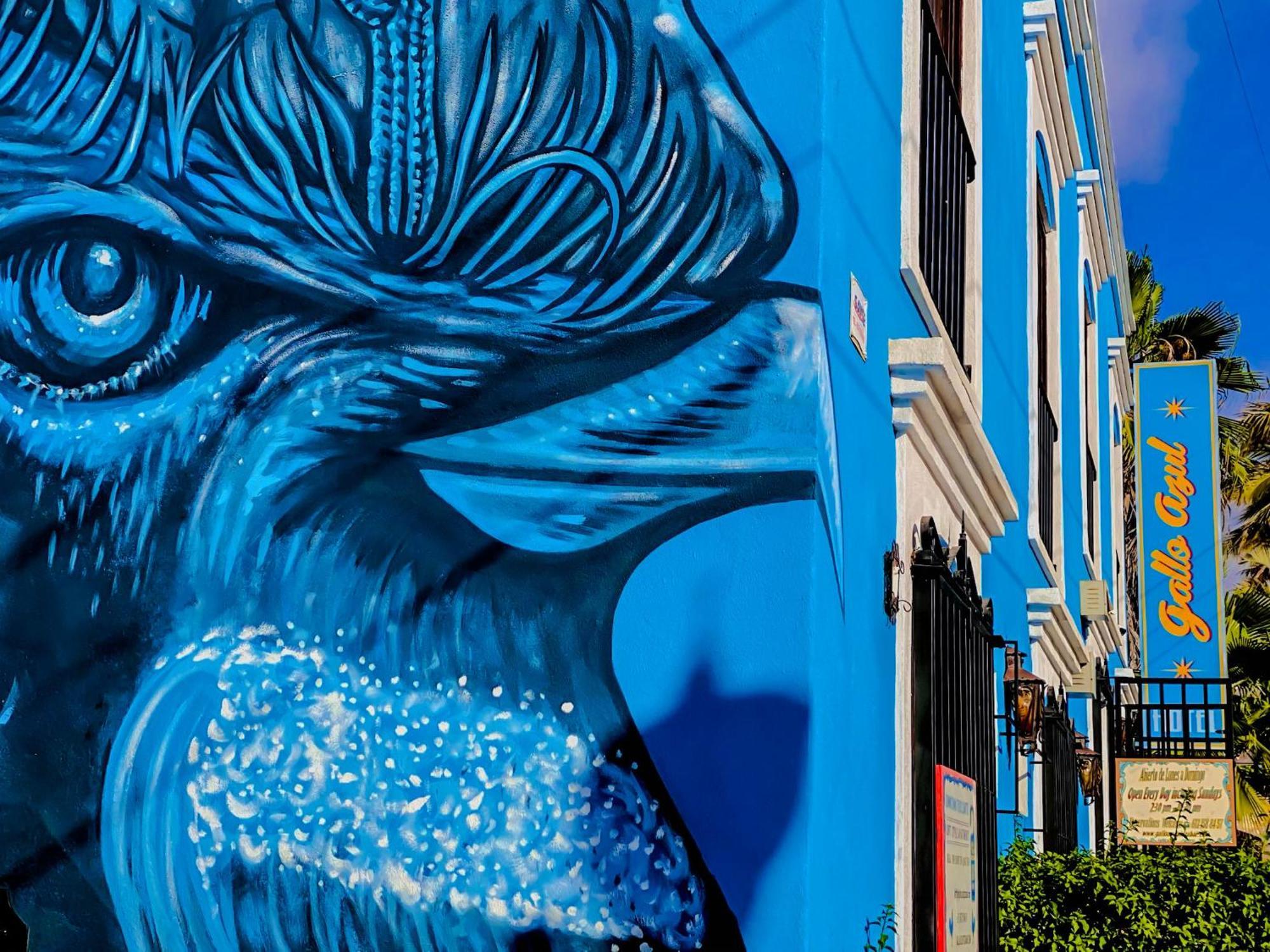 Gallo Azul Hotel, En El Corazon De Todos Santos Zewnętrze zdjęcie